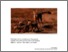 [thumbnail of 217627_906.pdf]