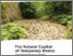 [thumbnail of 11490_Stubbington.pdf]