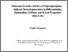 [thumbnail of N0482124 PhD.pdf]
