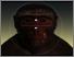 [thumbnail of 13288_Paukner_5.tif]