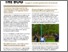[thumbnail of 1251559_Clutterbuck.pdf]