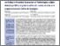 [thumbnail of 1446526_Anton.pdf]
