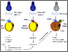 [thumbnail of Supplementary information]