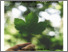 [thumbnail of 1456038_Henn.pdf]