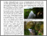 [thumbnail of 1604223_Stubbington.pdf]
