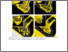 [thumbnail of 1843080_Evans_Supp_1.pdf]