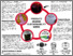 [thumbnail of 1830472_Siena.pdf]