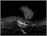 [thumbnail of 1883405_Wittel.pdf]