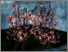 [thumbnail of 2206968_Chowdhury.pdf]