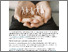 [thumbnail of 2416360_Curran.pdf]